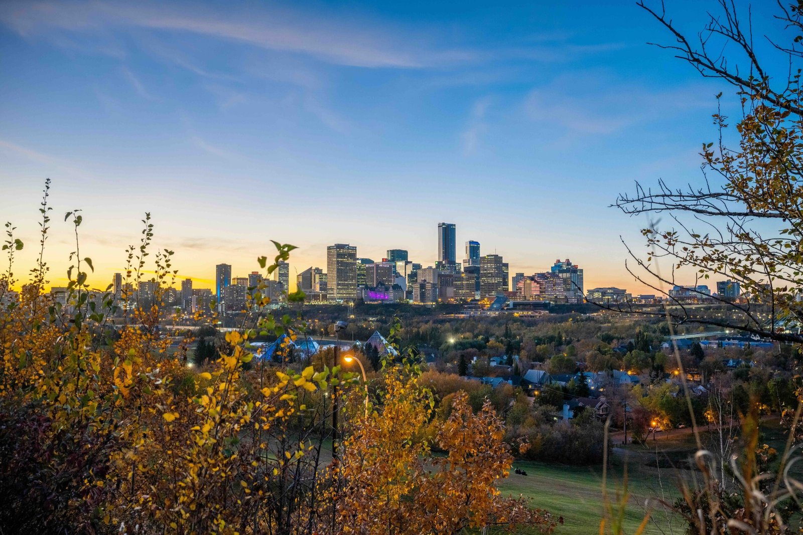 View of Calgary skyline at dusk surrounded by autumn foliage, representing a hub of innovation and thriving startups.